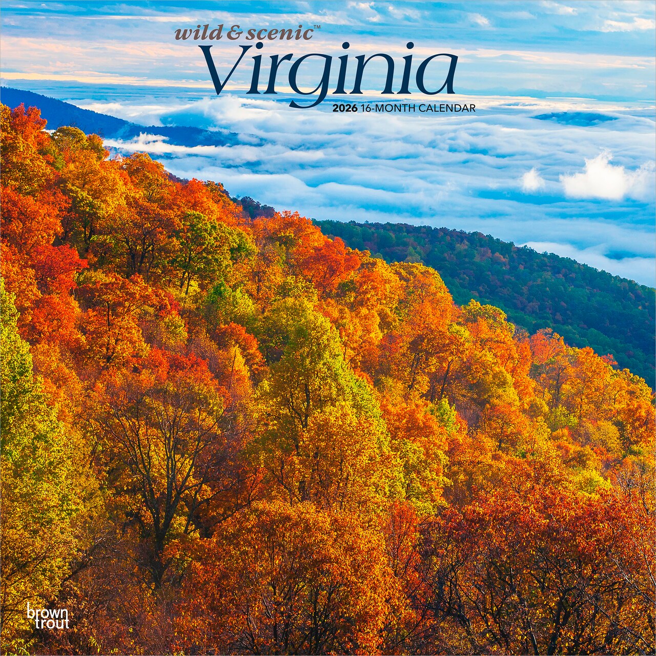 Virginia Wild & Scenic | 2026 12 x 24 Inch (Hanging) Monthly Square Wall Calendar | Plastic-Free